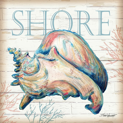 Picture of SHORE SHELL