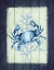 Picture of CRAB