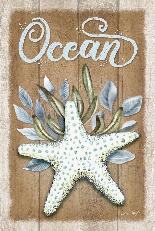 Picture of OCEAN STARFISH