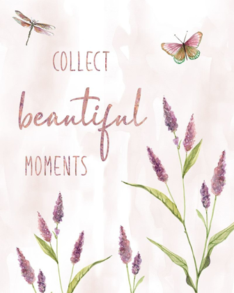 Picture of COLLECT BEAUTIFUL MOMENTS