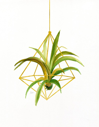Picture of HANGING AIRPLANT I