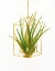 Picture of HANGING AIRPLANT II