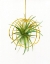Picture of HANGING AIRPLANT III