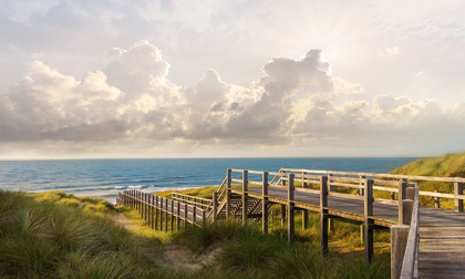 Picture of MEET ME AT THE BEACH