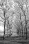 Picture of PIER A PARK