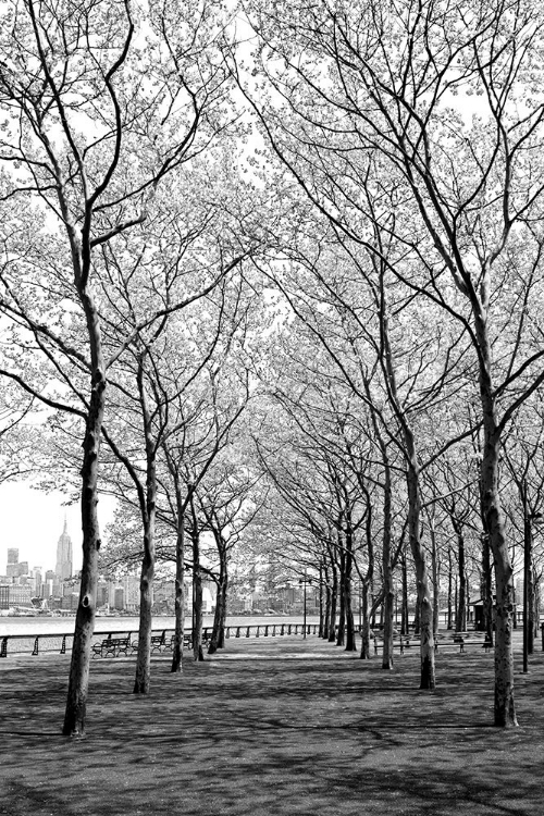 Picture of PIER A PARK