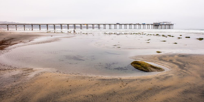 Picture of SCRIPPS PIER