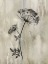 Picture of SUMI-E SILHOUETTE I