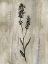 Picture of SUMI-E SILHOUETTE II