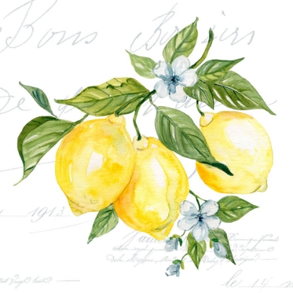 Picture of LEMON SQUEEZE II