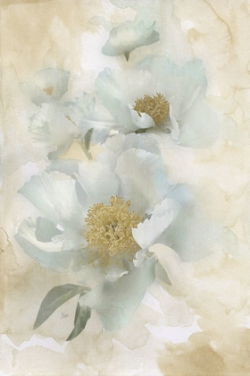 Picture of SOFT PEONIES II