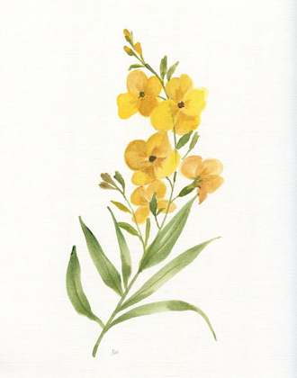 Picture of OCHRE BOTANICAL II
