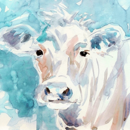 Picture of COLOR WASH COW