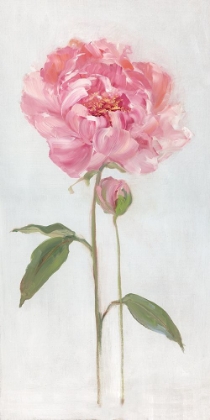 Picture of PEONY I