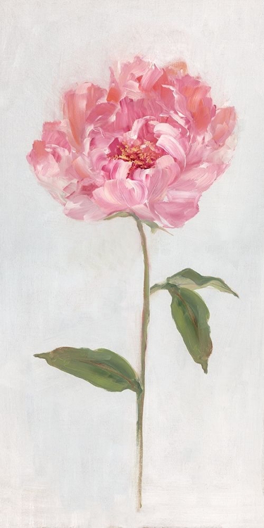 Picture of PEONY II