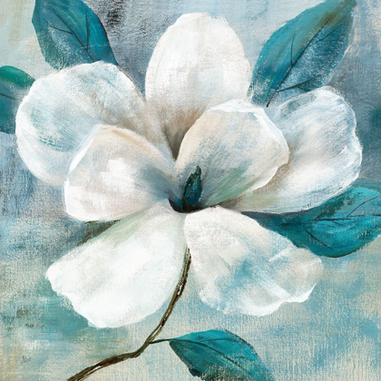 Picture of TEAL MAGNOLIA I
