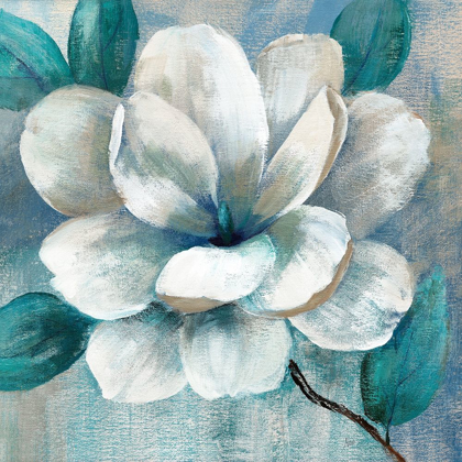 Picture of TEAL MAGNOLIA II