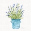 Picture of HERBES EN POT I