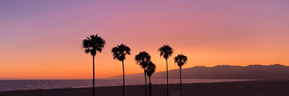 Picture of SUNSET ON SANTA MONICA