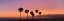 Picture of SUNSET ON SANTA MONICA