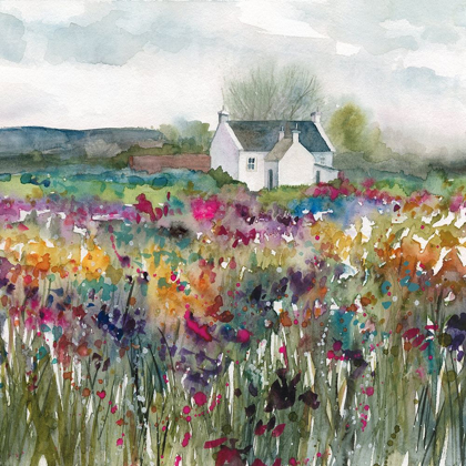 Picture of WILDFLOWER COTTAGE