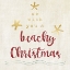 Picture of WISH YOU A BEACHY CHRISTMAS