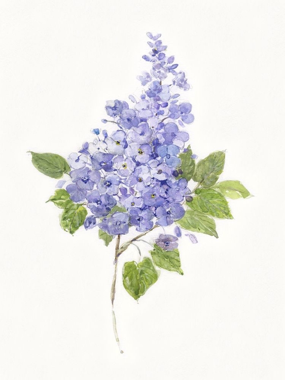Picture of DAINTY BOTANICAL LILAC