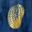 Picture of INDIGO SEA TREASURE VII