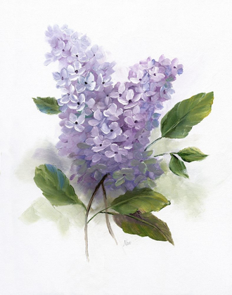 Picture of LILAC ROMANCE II