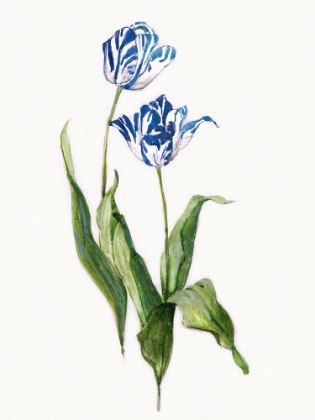 Picture of BLUE LIVELY BOTANICAL II