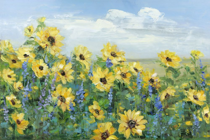 Picture of SUNFLOWER FIELDS FOREVER