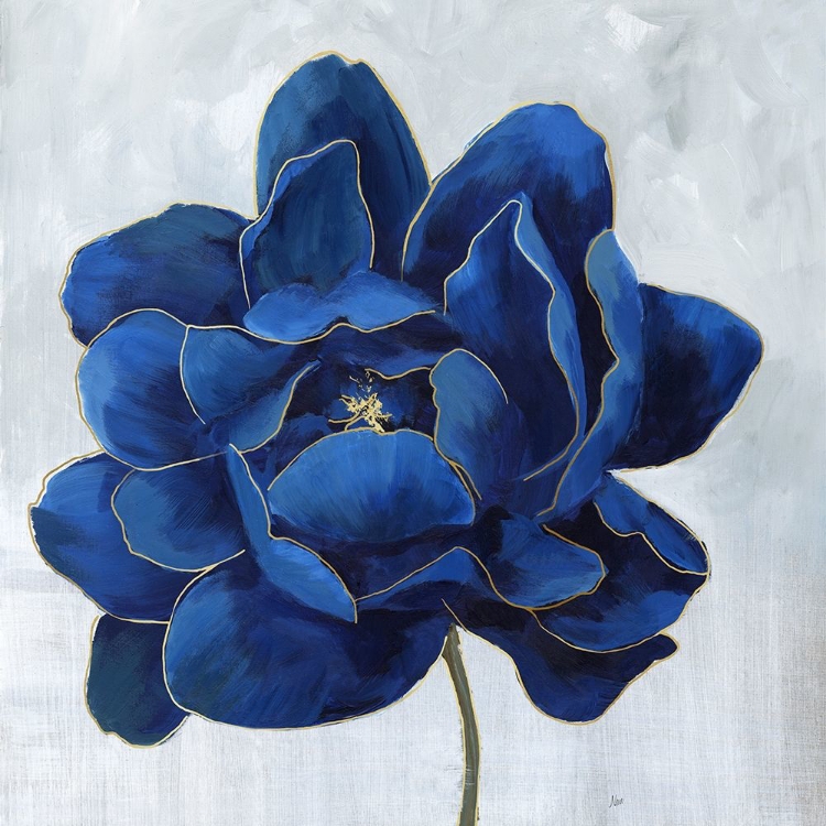 Picture of INDIGO PEONY