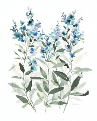 Picture of DELICATE BLUE BOTANICAL II