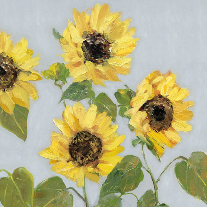 Picture of SUNFLOWER ARRAY I