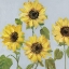 Picture of SUNFLOWER ARRAY II