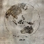 Picture of ASIA