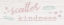 Picture of SCATTER KINDNESS