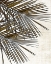 Picture of PALM I