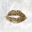 Picture of LEOPARD KISSES II