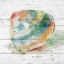 Picture of TYE DYED SHELL III