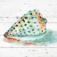 Picture of TYE DYED SHELL V