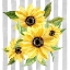 Picture of SUNFLOWER ARRAY I