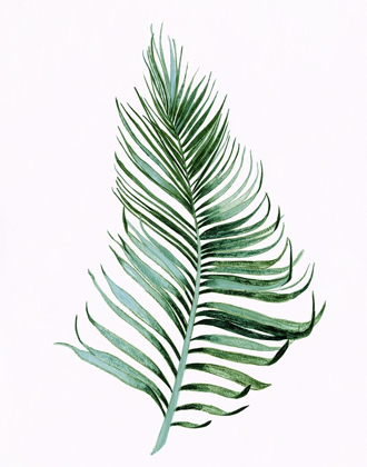 Picture of SAGE FROND II