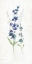Picture of FRESH CUT LAVENDER I