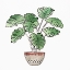 Picture of BOHO GREENERY II