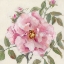 Picture of SO SWEET II