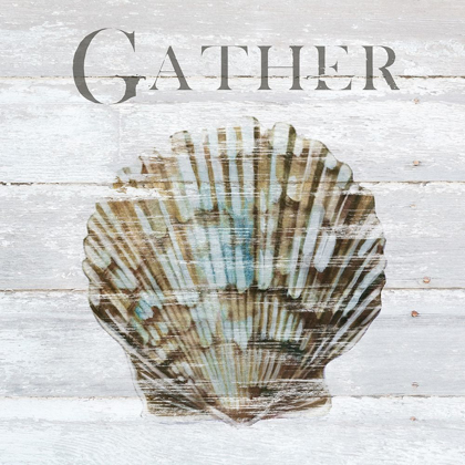 Picture of SHELL GATHER