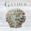 Picture of SHELL GATHER