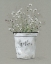 Picture of BOUQUET OF GRACE BUCKET GATHER