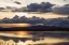 Picture of TWILIGHT SYMPHONY